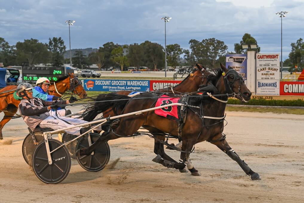 YOU BET IT IS: Wagga-trained Isn'tthatright won the thrilling race two (2170m) on the card with former O and M footballer Jared Kahlefeldt driving.