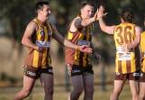 HIGH-FLYING HAWKS: Brendon Goddard celebrates a goal with his Hawks' team-mates. Goddard helped North Wangaratta to its second win of the season after defeating Greta. Pictures: JAMES WILTSHIRE