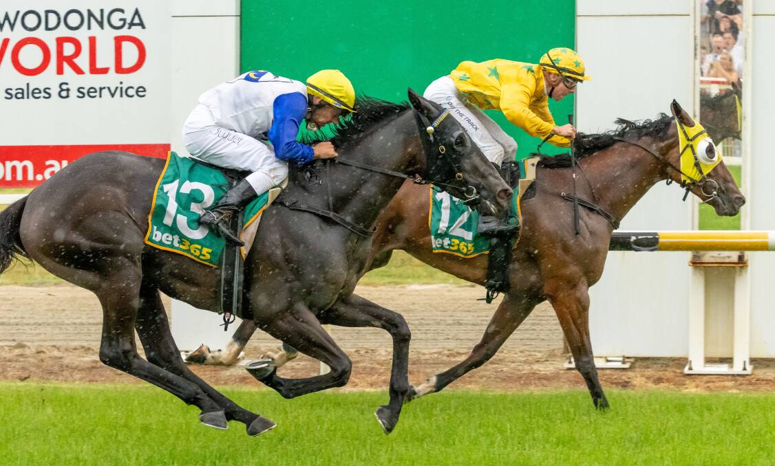 The David O'Prey trained Miss Athena won the Benchmark 58 Handicap, (1590m) with Logan McNeil aboard. Picture by Racing Photos
