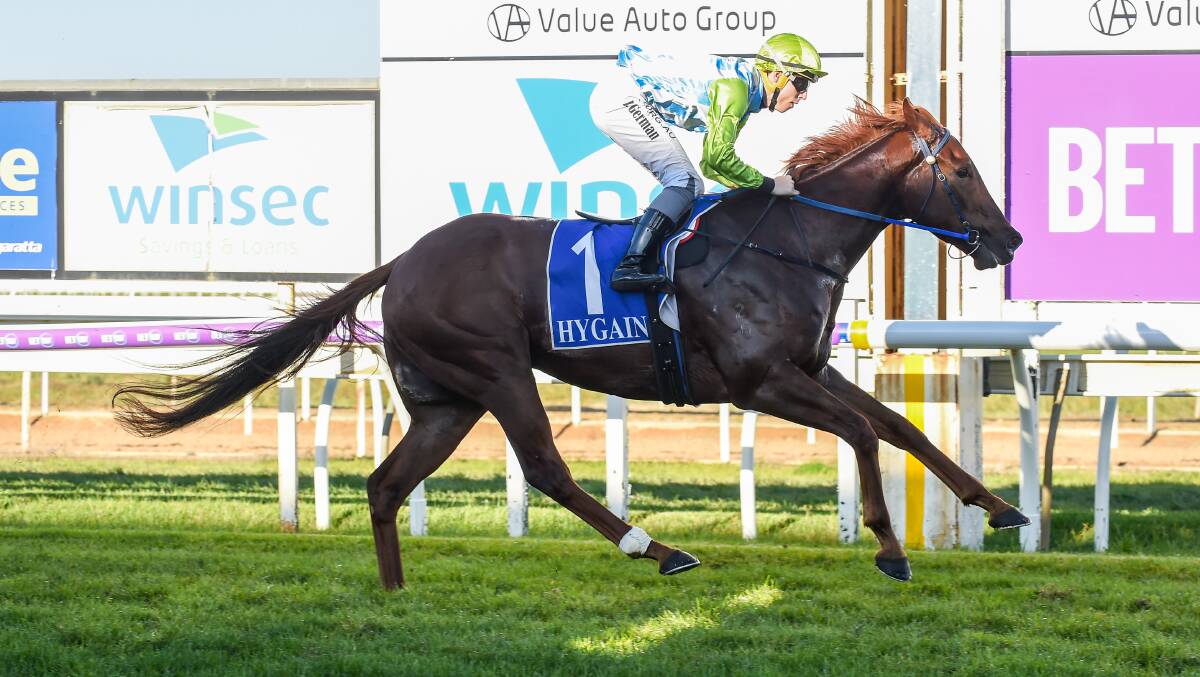 SPRING IN HIS STEP: The Geoff Duryea-trained Front Page is back in work ahead of a tilt at the $1.3-million Kosciuszko in October. Picture: RACING PHOTOS