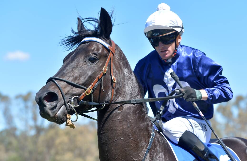 Simon Miller will base himself at Albury in the short-term. Picture: RACING PHOTOS