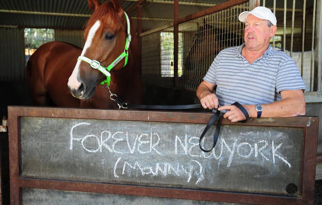 Trainer Gary Colvin with his stable star Another One who will target the Wodonga Gold Cup on Friday. Picture by Daily Advertiser