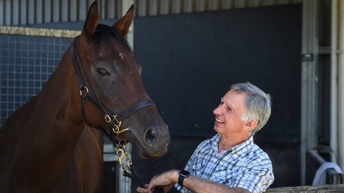 YOUSAY I CAN WIN? Trainer Ron Stubbs is confident Yousay Bolt can run a strong 1400m at Albury on Saturday. Picture: MARK JESSER