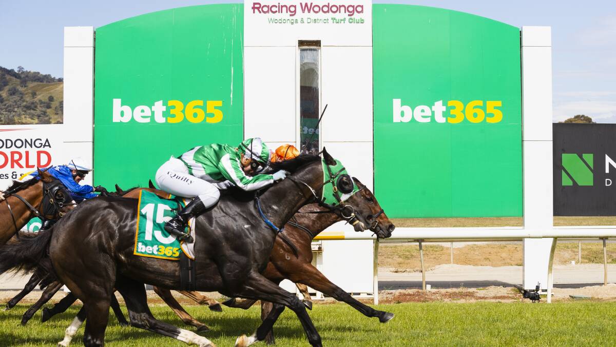 Night Passage holds off the finishing burst of This Skilled Cat
in last year;s Wodonga Gold Cup. Picture by Ash Smith