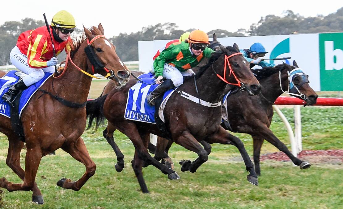 BIG WIN: Macca's Hero (orange cap) produced a strong finishing burst to nab her rivals at Tatura on Saturday. Picture: RACING PHOTOS