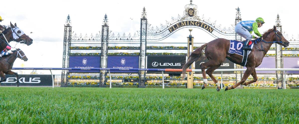The Geoff Duryea-trained Front Page scored a dominant win down the Flemington straight in the Listed Creswick Stakes. Picture by Racing Photos