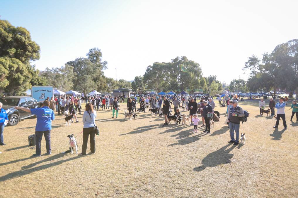 More than 120 registrations were taken for the 30th anniversary of Albury's Million Paws Walk on Sunday, May 26. Picture by James Wiltshire