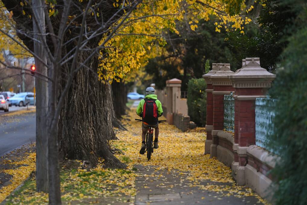 A cyclist travels along Kiewa Street in central Albury. The city's council is in the design phase of a CBD bike loop that would include Kiewa and other streets near the Albury CBD. Picture by Mark Jesser
