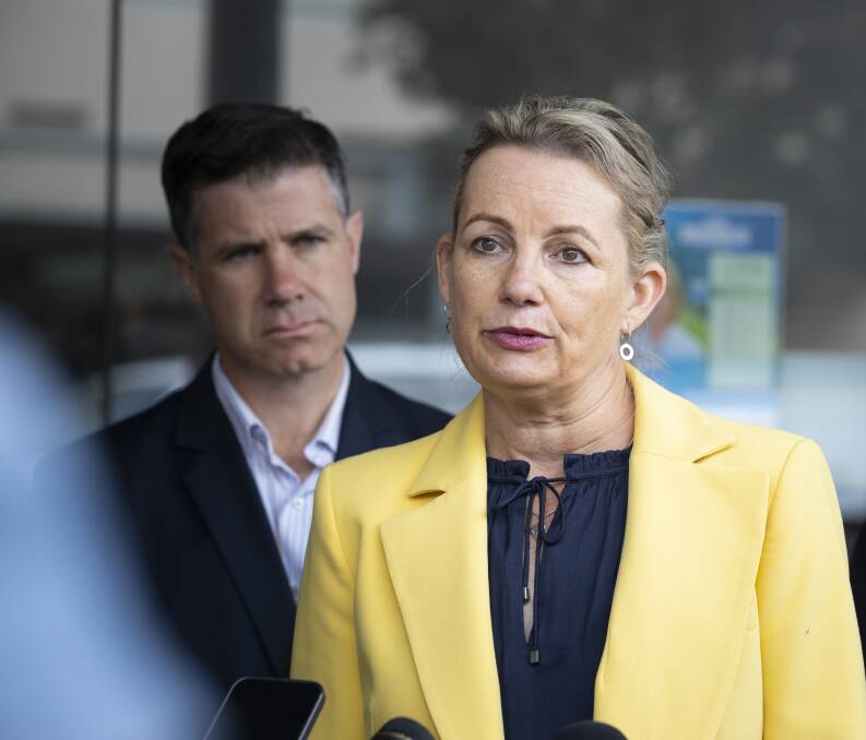Farrer MP Sussan Ley and Albury MP Justin Clancy have both voiced concerns towards a new strip club in central Albury. File picture