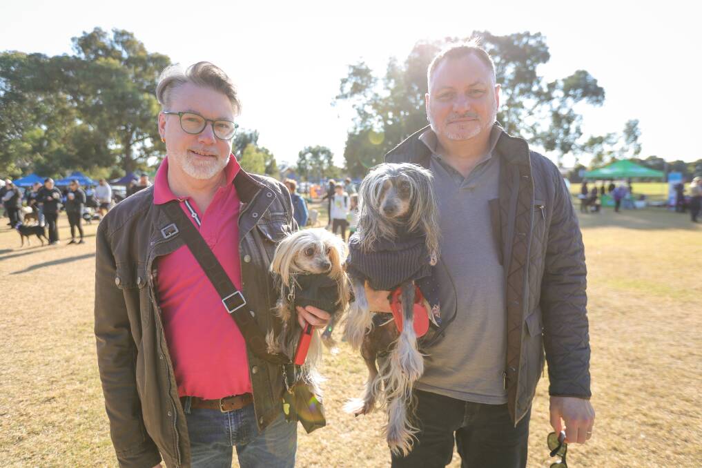 Albury's Geoff Lawson and Dean Wheatley with their hairless Chinese Crested dogs Humphrey and Basil at the Million Paws Walk on Sunday, May 26. Picture by James Wiltshire