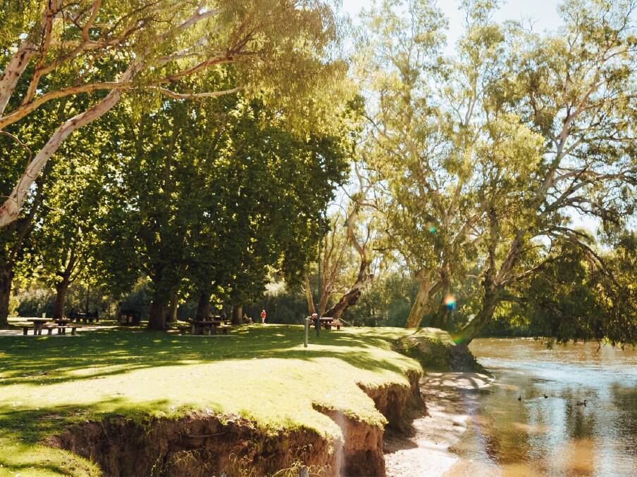 Riverbank rehabilitation along the Noreuil Park foreshore has been considered a priority of Albury Council's Murray River master plan review. 