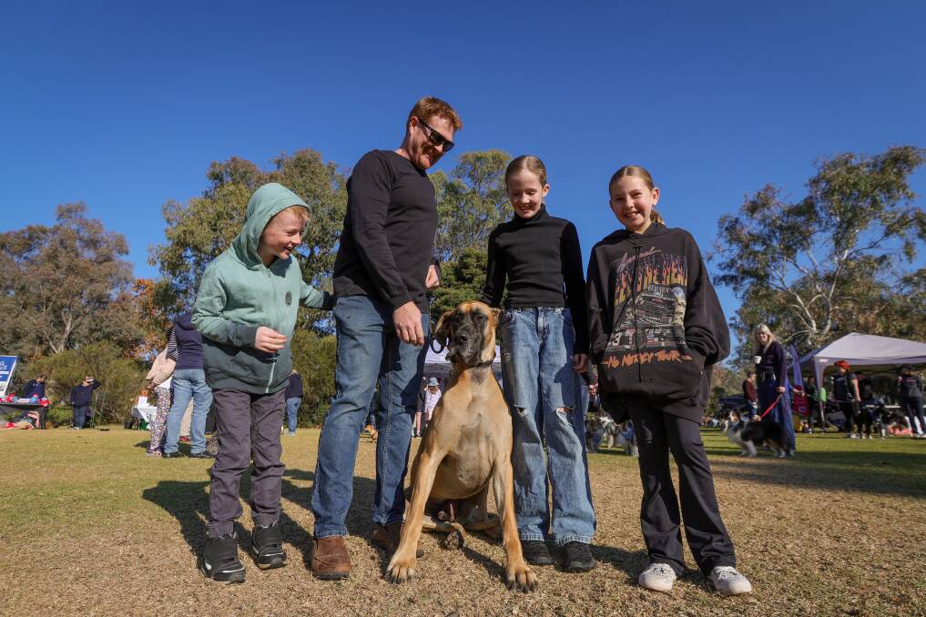 Hamish Trinnick, 8, Zac Trinnick, Alice Trinnick, 11, and Riley Davies, 11 with Frank the Great Dane at Albury's Million Paws Walk on Sunday, May 26. Picture by James Wiltshire