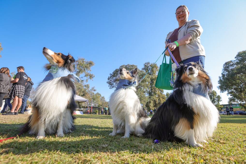 Albury's Heidi Lutze with her Shelties Finnigan, Winx and Lilly enjoying the sunshine at the 30th Million Paws Walk at Hovell Tree Park on Sunday, May 26. Picture by James Wiltshire 