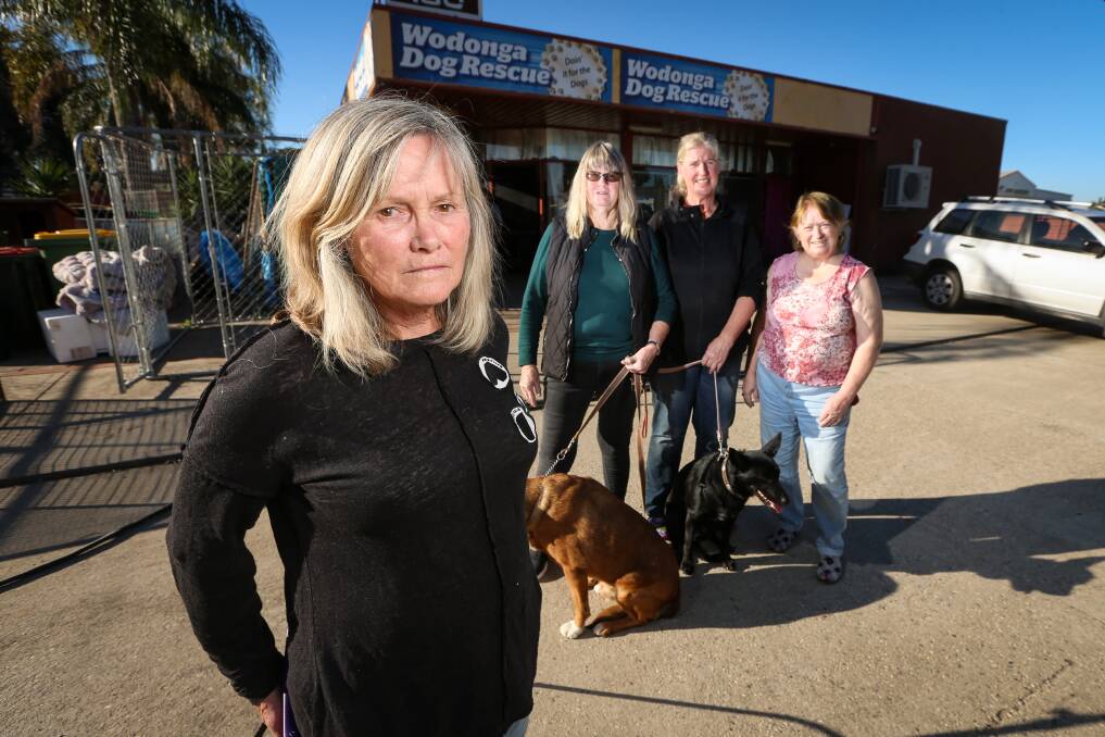 CALL: Wodonga Dog Rescue largely consists of Peta McRae, Shirley Giles, Kate Gooddman and Lyn Thornton. They are in desperate need of more help and resources. Picture: JAMES WILTSHIRE
