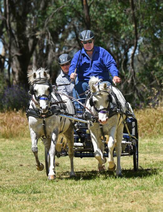 High-action 'Battle of the Border' carriage driving takes place this weekend in Mullengandra.