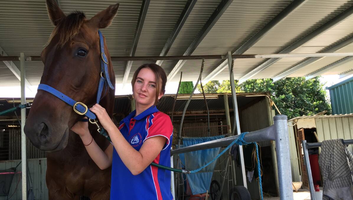 BIG ASK: Jindera trainer Rebecca Brown's pacer Holy Camp Clive will have his work cut out for him in race five, drawn wide on the front row. 