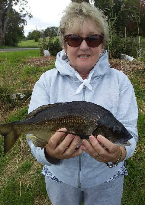 SOLID EFFORT: Deidre Cumming did well landing this 37cm bream recently. The fish was caught in the Tambo River on a live prawn. Picture: Supplied