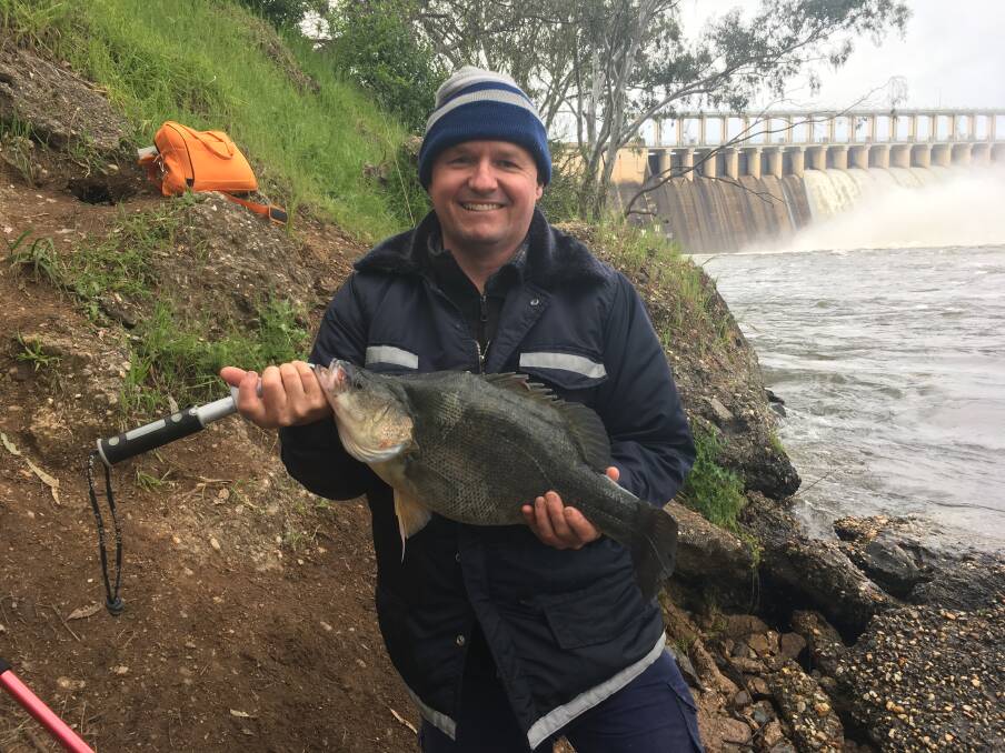 SENSATIONAL: Albury fisho Stu Stein caught this impressive fish below the weir wall recently. If you're able to get out and fish, remember to send your pictures, along with a few details, to 0475 947 279.