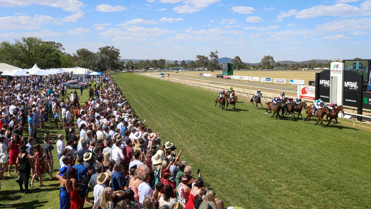 Crowds are coming back to Wodonga Gold Cup meeting in late November