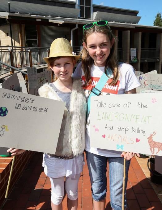 SEA OF SIGNS: Sisters Alison, 12, and Michelle, 14, Covill hold signs made by students to help educate people on environmental issues. Pictures: JAMES WILTSHIRE