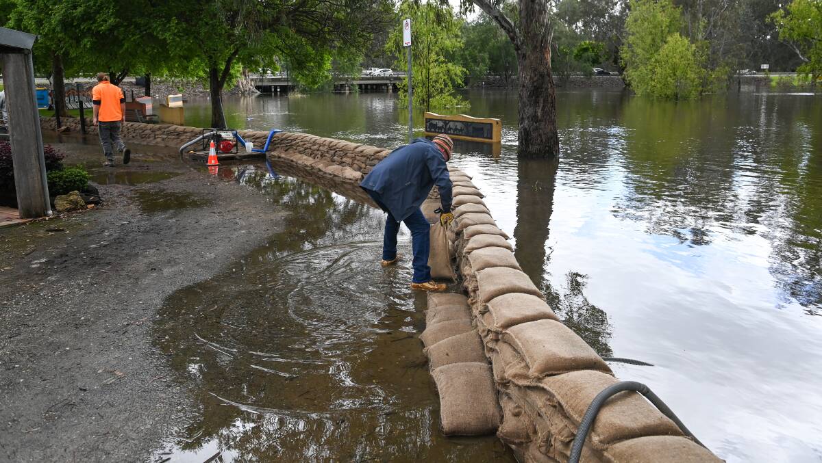 Sandbagging continues around the back of La Maison and Musikids, after Hume Dam releases increased to 75 gigalitres per day. Picture by Mark Jesser.