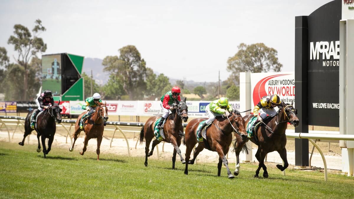 Wodonga Gold Cup gallery of photos from the race day The Border Mail