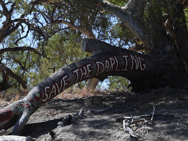 An Environment Victoria report blames the state for undermining the national Murray-Darling scheme. (Dean Lewins/AAP PHOTOS)