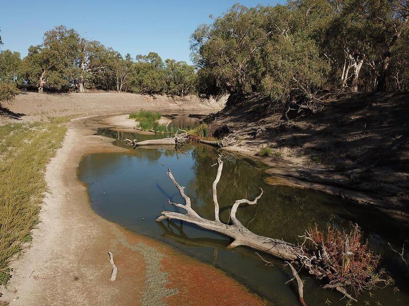 The $13b Murray-Darling Basin plan aims to return 450 gigalitres of water by June 2024. (Dean Lewins/AAP PHOTOS)