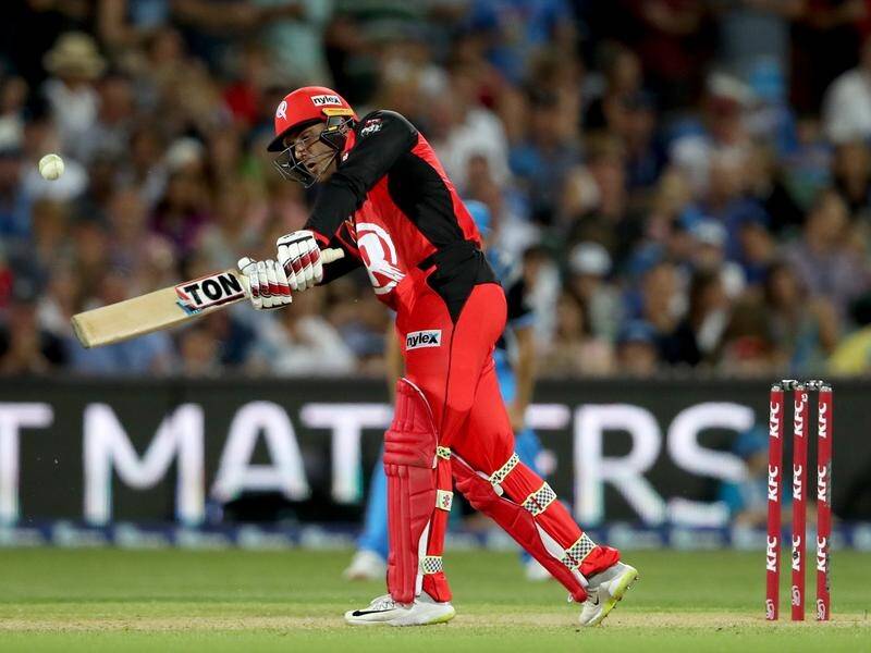 Mohammad Nabi's (pic) vital partnership with Dan Christian got the Renegades home over the Strikers.