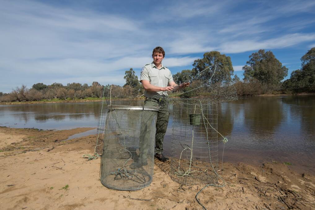 A NSW fisheries officer with the fish trap found in the Murray River.