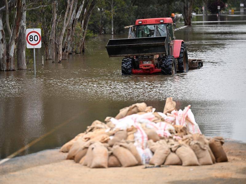 A tractor is driven through floodwaters in Echuca, Victoria. (James Ross/AAP PHOTOS)