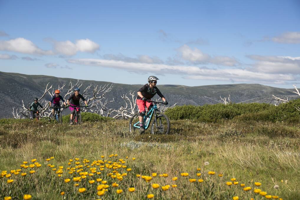 VIEWS: The two-day event also offers lunch, coffee and champagne for riders who can attend an event or the whole weekend. Picture: Falls Creek Resort