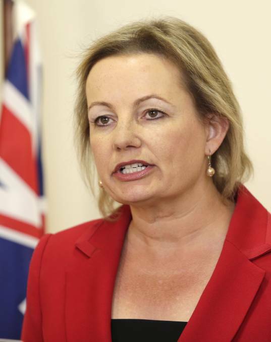 New role: Farrer MP Sussan Ley now holds the title of Aged Care Minister after the portfolio was added to her responsibilities of Wednesday.