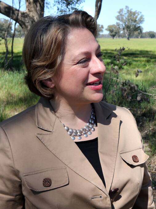 Sophie Mirabella Re Emerges To Celebrate 2m In Roadworks Cash The Border Mail Wodonga Vic 0716