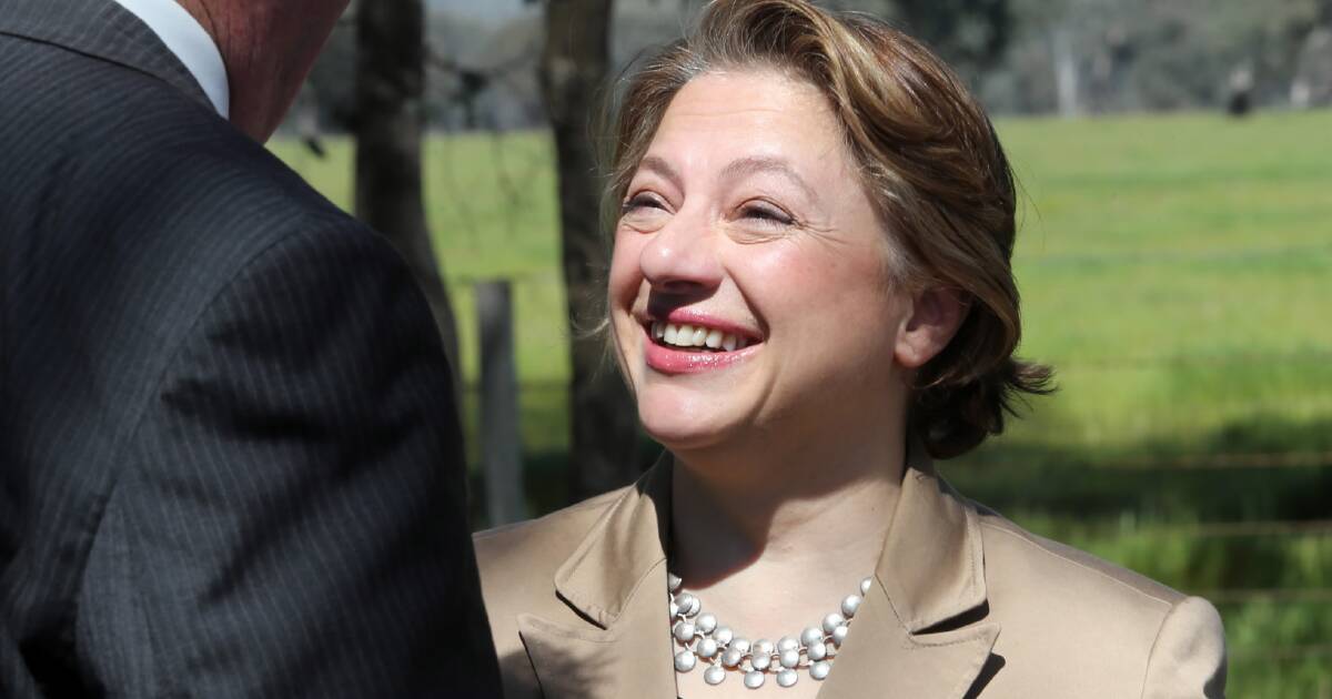 Sophie Mirabella Opens Home For Party The Border Mail Wodonga Vic 9702