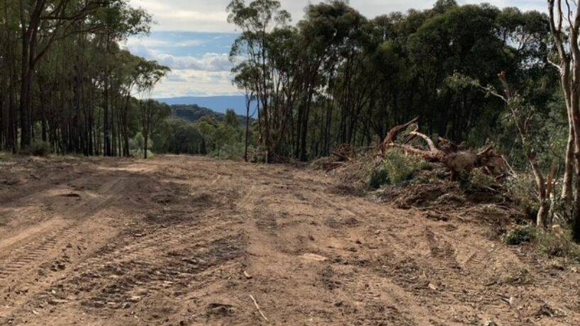 The cleared land at the Mount Lawson State Forest. Picture supplied