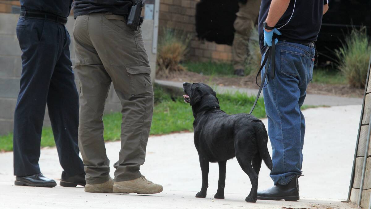 RAIDS:  A police dog with plain-clothed officers at the home in Stott Court this morning. Picture: BLAIR THOMSON