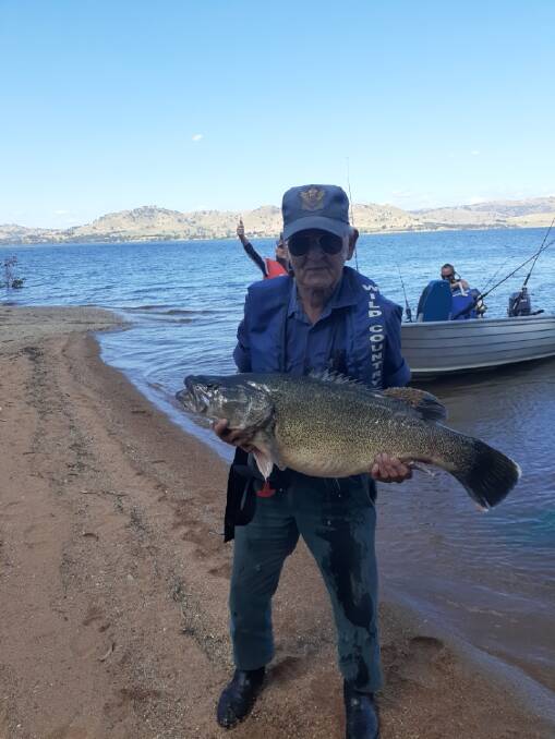 FREE: Imre Marki caught this 90cm cod trawling near Ludlows. It wasn't weighed but returned to the water with great speed and swam away quickly on release.