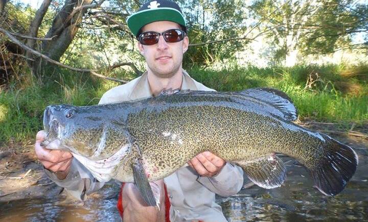 HOOKED: Jimmy Mason is pictured with the 74cm Murray cod he caught in the Upper Murray. The cod was caught on a "Wobbly" spinnerbait. 