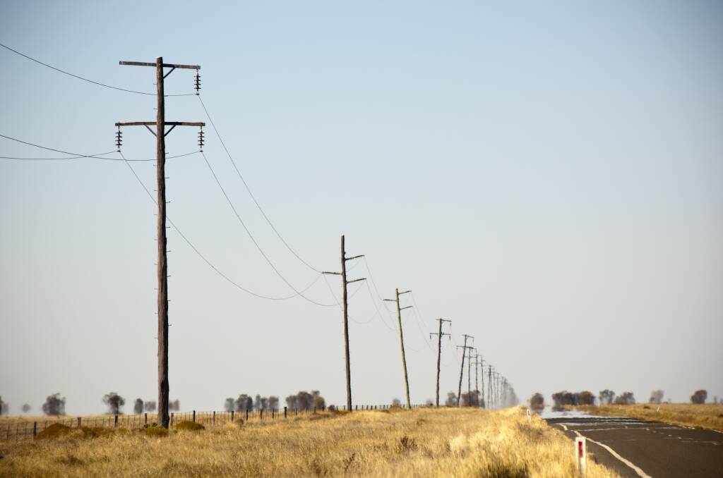 PROBLEMATIC: David Everist says at times, power lines and the environment do not coexist.