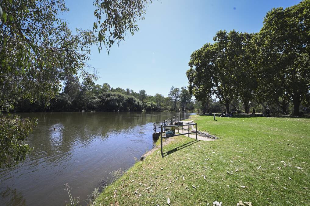 The Murray River at Noreuil Park. Picture by Mark Jesser