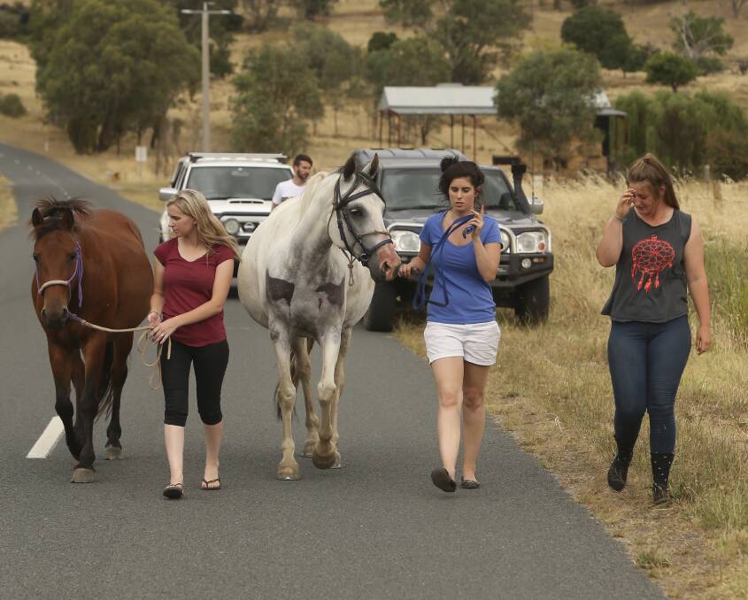 Safety: Lory Blundell, Katrina Cook and Emma Campbell walked their horses from Leneva, one of several areas evacuated. Picture: ELENOR TEDENBORG