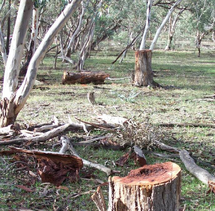 Clear off: People considering illegally sourcing firewood on public land have been warned they could be jailed or heavily fined.