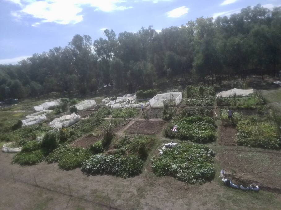 WELL SUPPORTED: The development of the multicultural community gardens has been a team effort. Picture: SUPPLIED