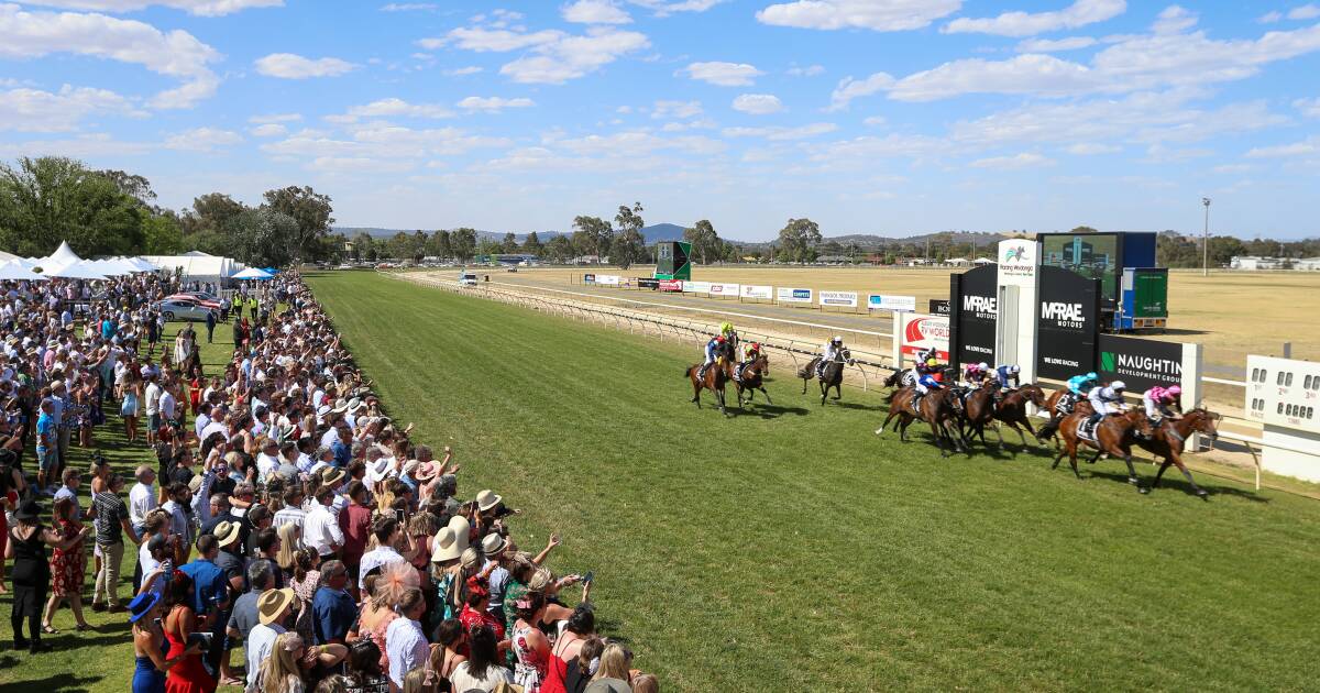 Wodonga Gold Cup public holiday gains approval for the next five years