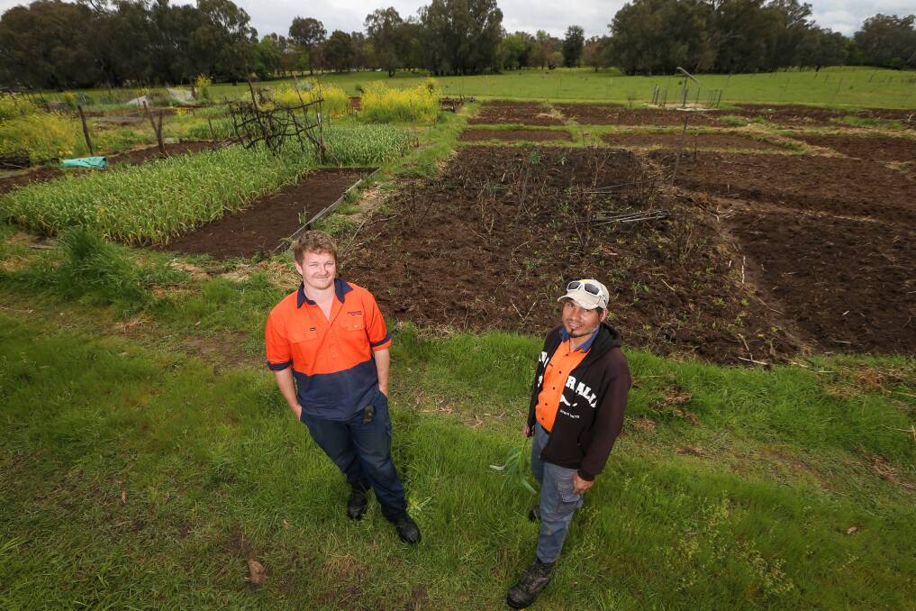 FULL TO CAPACITY: All the 5m x 5m plots at Gateway Island Community Farm are fully subscribed but more families want to join the social enterprise. Parklands Albury Wodonga recovery ranger Chris Allen and gardens ranger Tilak Chhetri stand in front of the farm. Picture: JAMES WILTSHIRE