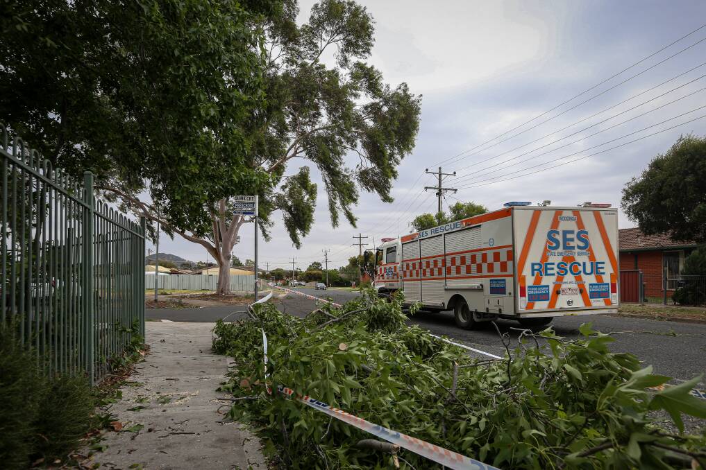 TREE DOWN: The Wodonga SES unit had six call-outs by 5pm Tuesday. Picture: JAMES WILTSHIRE