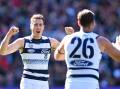 Geelong could be missing both big guns Jeremy Cameron and Tom Hawkins against the Suns. (James Ross/AAP PHOTOS)